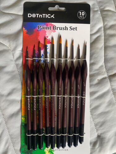 DOTnTICK 10-Piece Paint Brush Set with Comfortable Triangular Handles – includes Acrylic Paint, Oil Paint, and Water colour brushes for Face Painting & Kids Art Sets photo review
